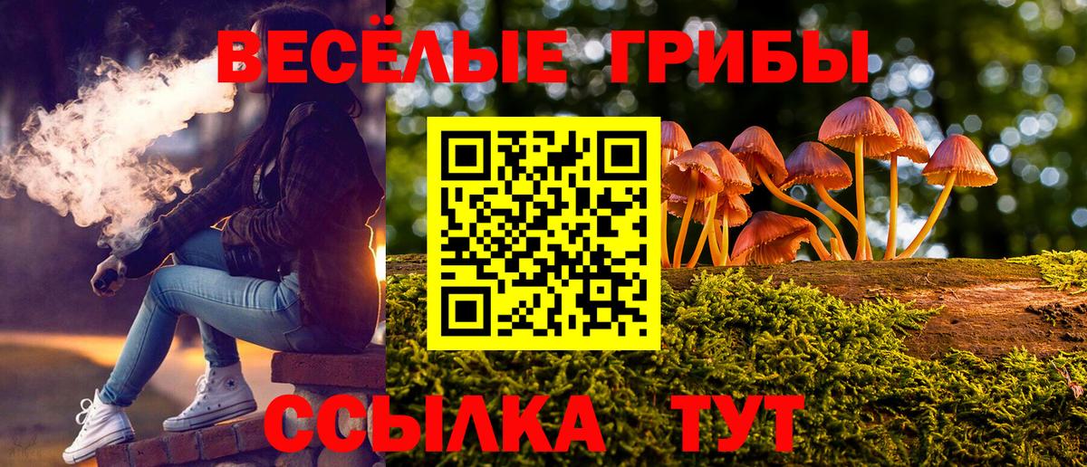 Бугуруслан  Псилоцибиновые грибы прущие грибы  Вход с VPN  Галлюциногенные грибы мухоморы 